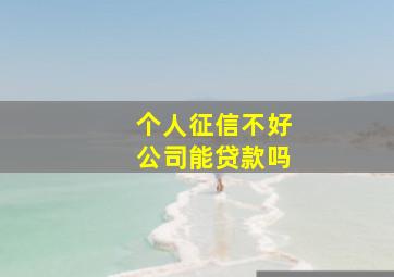 个人征信不好公司能贷款吗