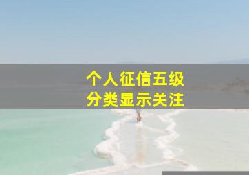 个人征信五级分类显示关注