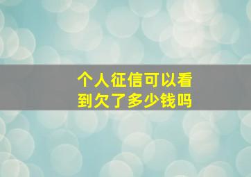 个人征信可以看到欠了多少钱吗