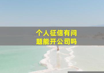 个人征信有问题能开公司吗