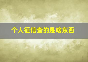 个人征信查的是啥东西