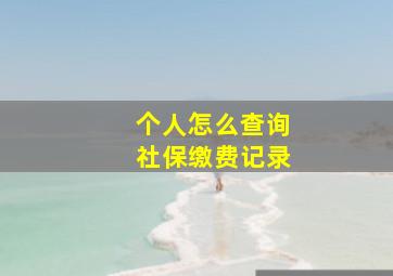 个人怎么查询社保缴费记录