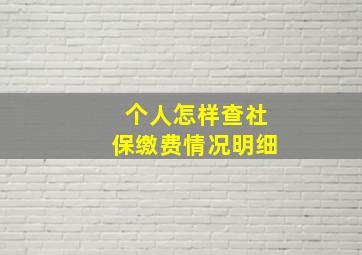 个人怎样查社保缴费情况明细