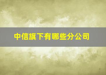 中信旗下有哪些分公司