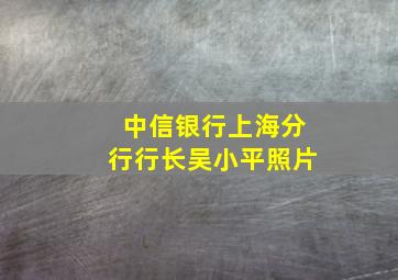 中信银行上海分行行长吴小平照片