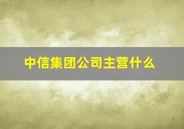 中信集团公司主营什么