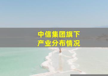 中信集团旗下产业分布情况