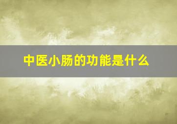 中医小肠的功能是什么