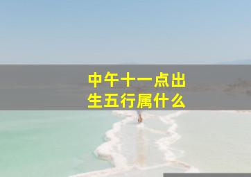 中午十一点出生五行属什么