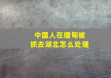 中国人在缅甸被抓去湖北怎么处理