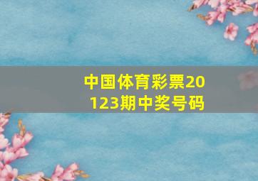 中国体育彩票20123期中奖号码