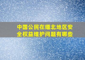 中国公民在缅北地区安全权益维护问题有哪些