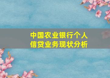 中国农业银行个人信贷业务现状分析