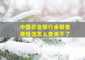 中国农业银行余额查询短信怎么查询不了