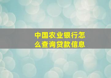 中国农业银行怎么查询贷款信息