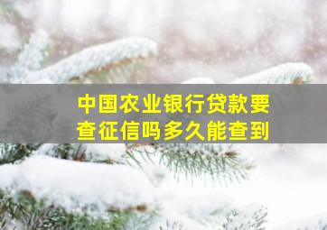 中国农业银行贷款要查征信吗多久能查到