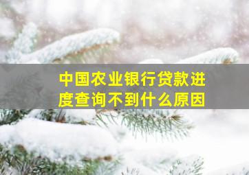 中国农业银行贷款进度查询不到什么原因