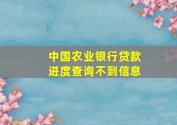 中国农业银行贷款进度查询不到信息