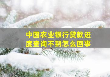 中国农业银行贷款进度查询不到怎么回事