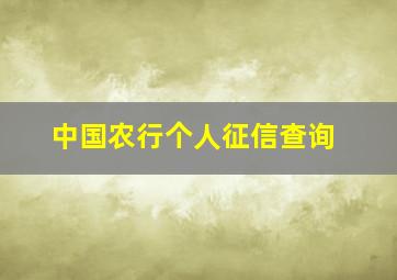 中国农行个人征信查询