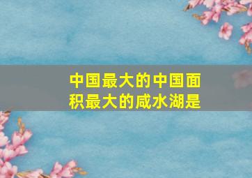 中国最大的中国面积最大的咸水湖是