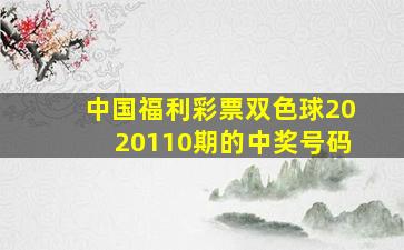 中国福利彩票双色球2020110期的中奖号码