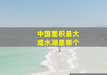 中国面积最大咸水湖是哪个