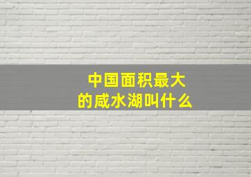 中国面积最大的咸水湖叫什么