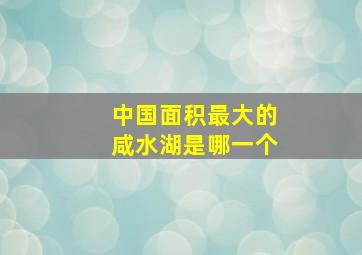 中国面积最大的咸水湖是哪一个