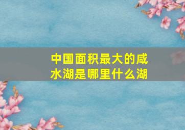 中国面积最大的咸水湖是哪里什么湖