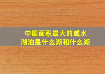 中国面积最大的咸水湖泊是什么湖和什么湖