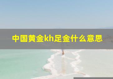 中国黄金kh足金什么意思