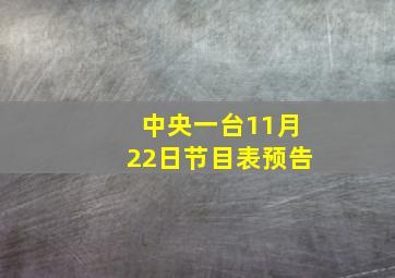 中央一台11月22日节目表预告