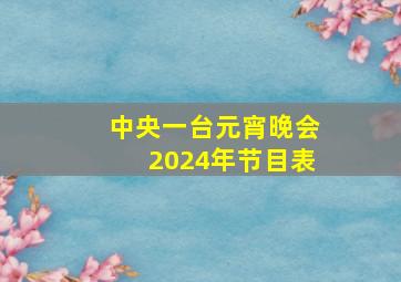 中央一台元宵晚会2024年节目表