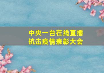 中央一台在线直播抗击疫情表彰大会