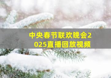 中央春节联欢晚会2025直播回放视频