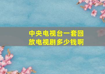 中央电视台一套回放电视剧多少钱啊