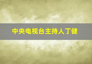 中央电视台主持人丁健