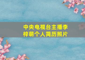 中央电视台主播李梓萌个人简历照片