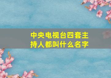 中央电视台四套主持人都叫什么名字