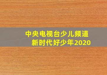 中央电视台少儿频道新时代好少年2020