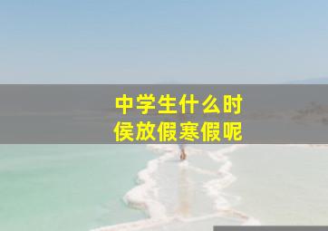 中学生什么时侯放假寒假呢