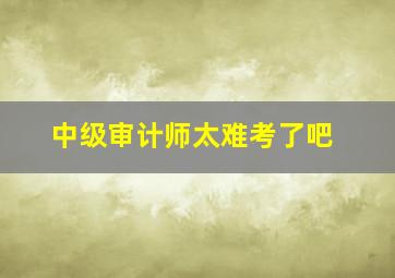 中级审计师太难考了吧