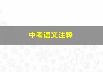 中考语文注释