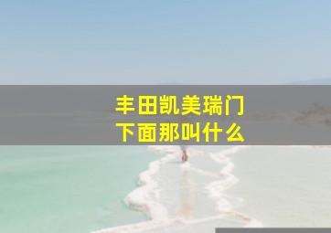 丰田凯美瑞门下面那叫什么