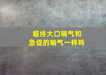 临终大口喘气和急促的喘气一样吗