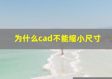 为什么cad不能缩小尺寸