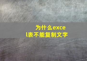 为什么excel表不能复制文字