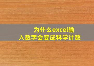 为什么excel输入数字会变成科学计数