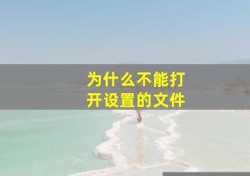 为什么不能打开设置的文件